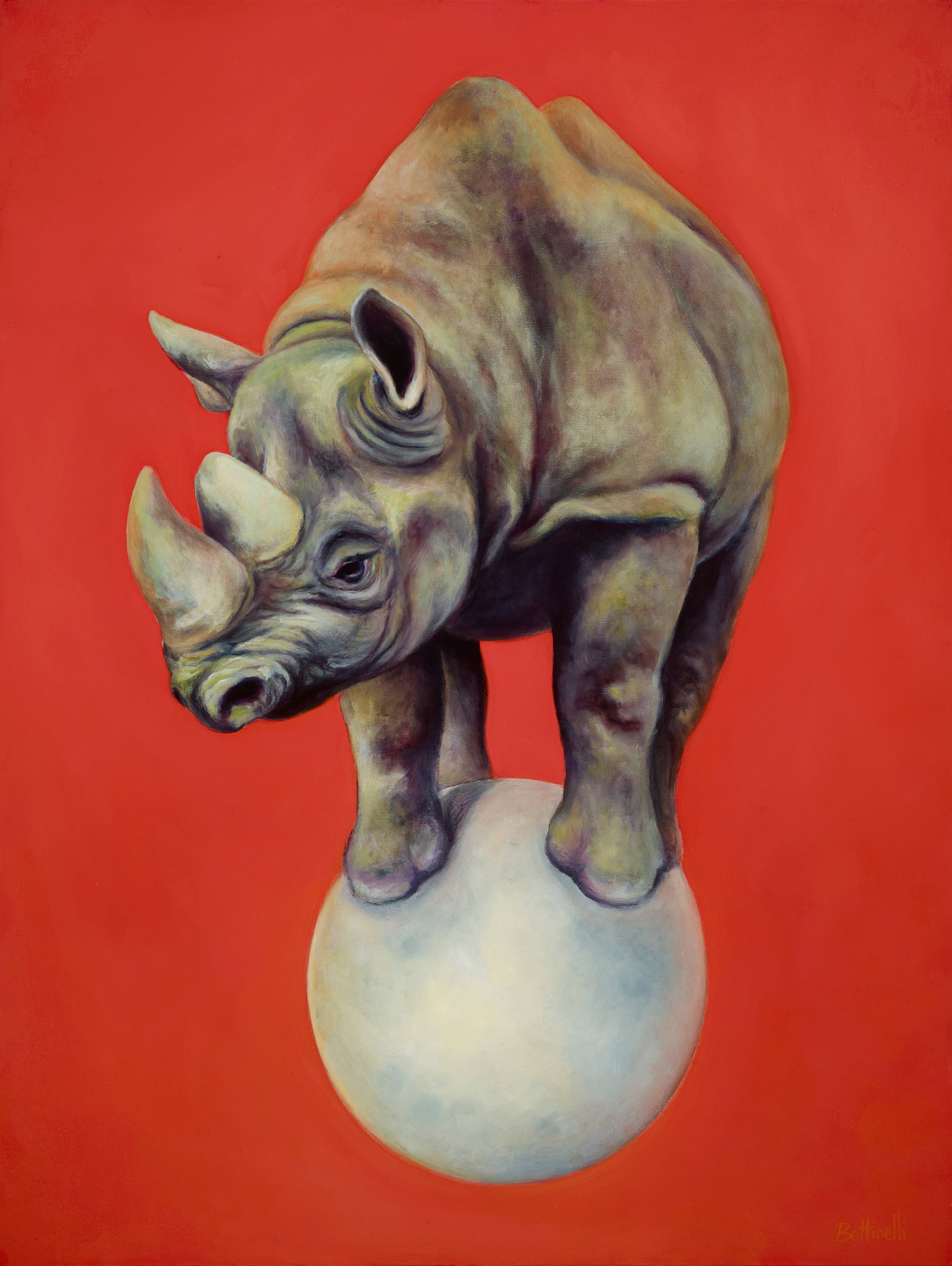 Facing the Sun - Canvas Print