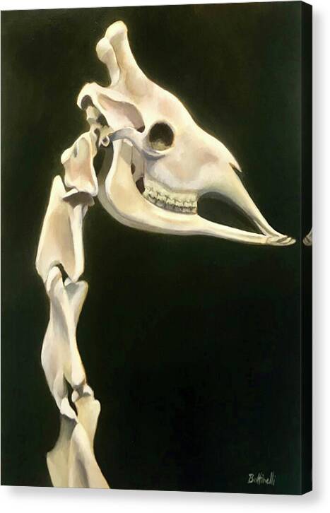 Giraffe Head - Canvas Print