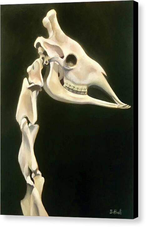 Giraffe Head - Canvas Print